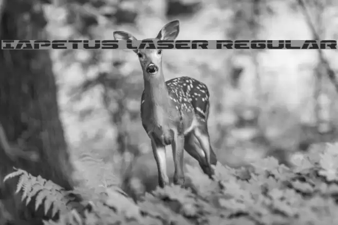 Iapetus Laser Regular Font examples