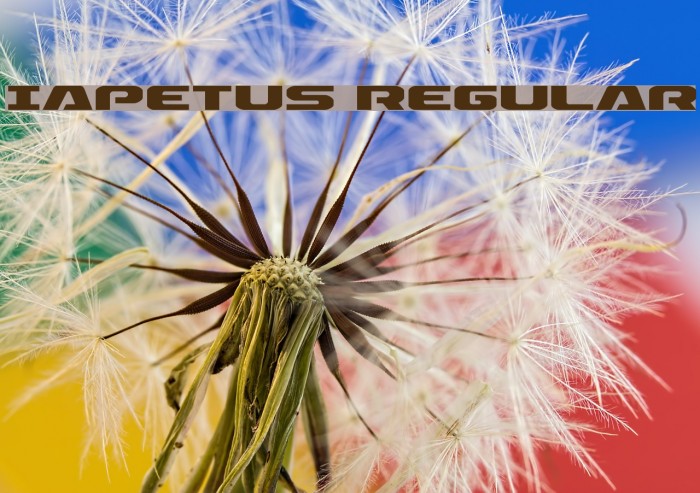 Iapetus Regular Example 1