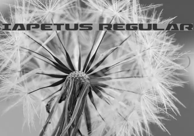 Iapetus Regular Font examples