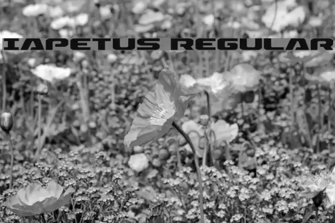 Iapetus Regular Font examples
