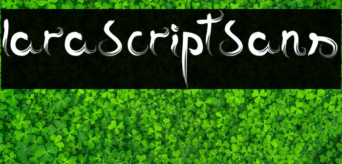 Iara-Script-Sans Example 2