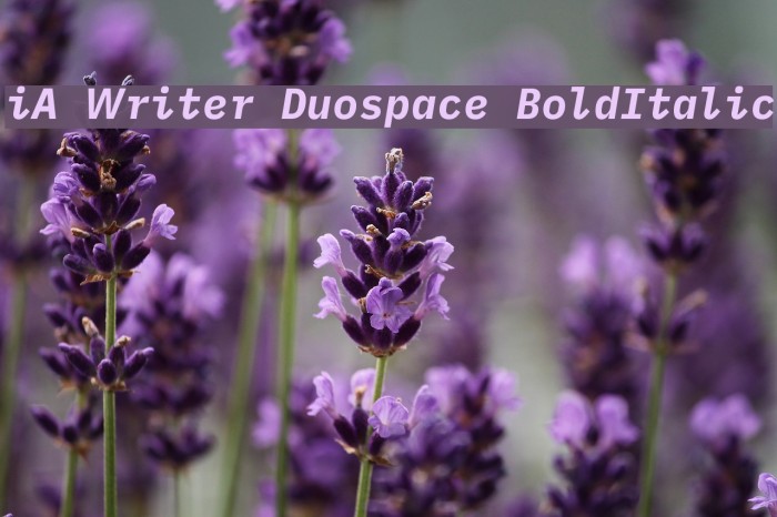 iA Writer Duospace BoldItalic Font examples