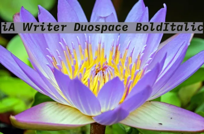 iA Writer Duospace BoldItalic Example 2