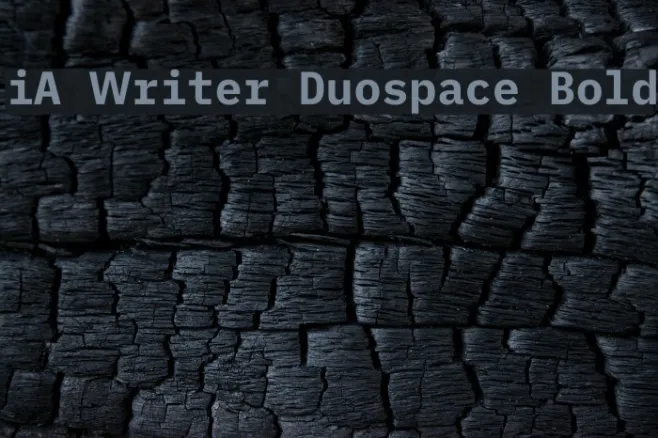 iA Writer Duospace Bold Example 2