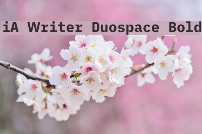 iA Writer Duospace Bold Example 3