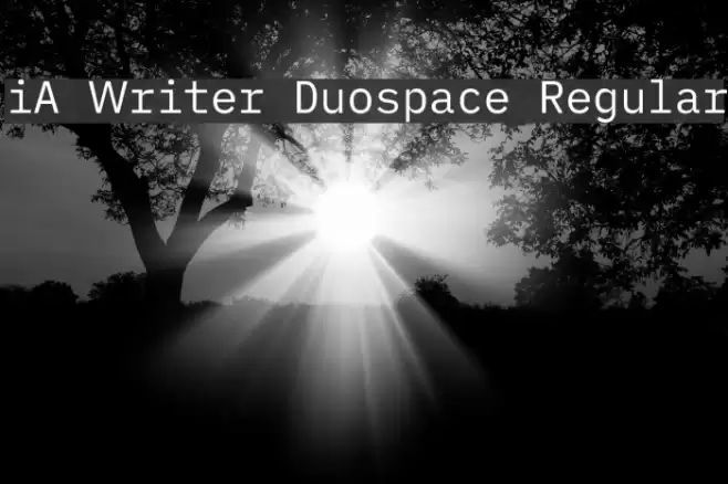 iA Writer Duospace Regular Schriftart examples