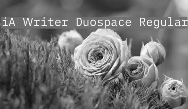 iA Writer Duospace Regular Schriftart examples