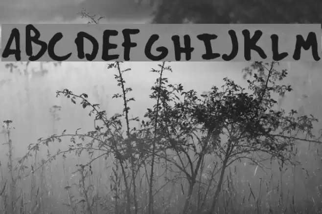 ians font Font examples