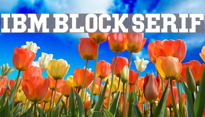 IBM Block Serif Font examples