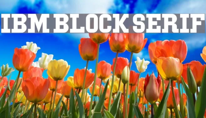 IBM Block Serif Example 2