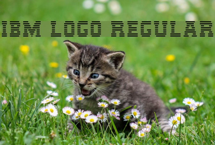 IBM Logo Regular फ़ॉन्ट examples
