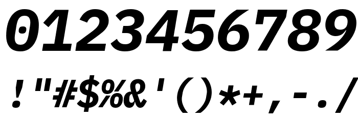 IBM Plex Mono Bold Italic Font OTHER CHARS
