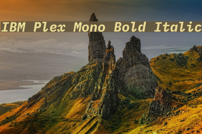 IBM Plex Mono Bold Italic Font examples