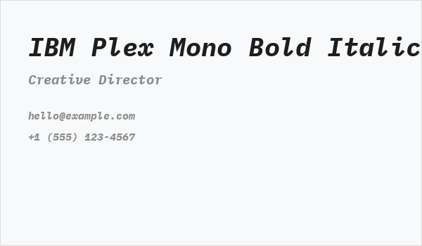IBM Plex Mono Bold Italic Business Card