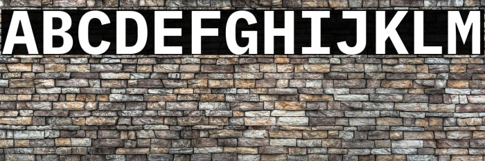 IBM Plex Mono Bold Example 1