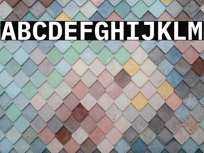 IBM Plex Mono Bold Example 2