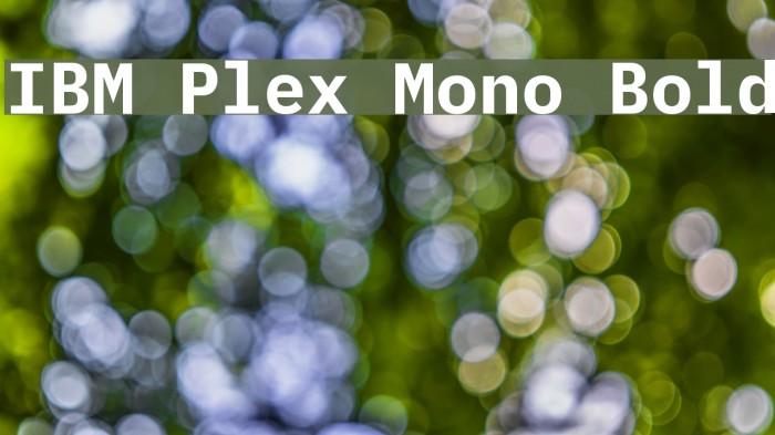 IBM Plex Mono Bold Caratteri examples