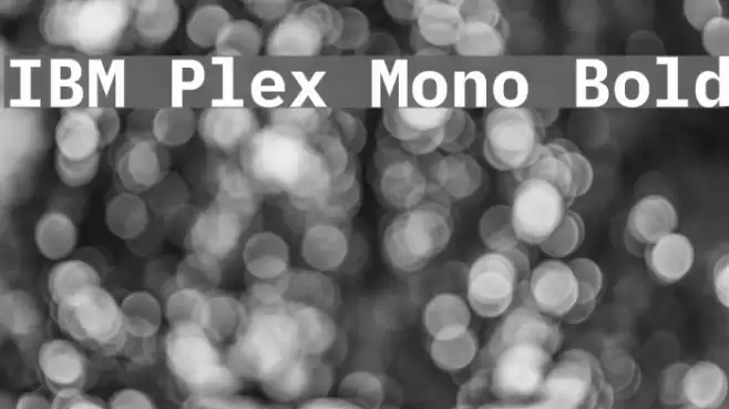 IBM Plex Mono Bold Font examples
