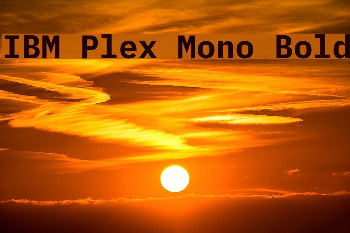 IBM Plex Mono Bold Caratteri examples