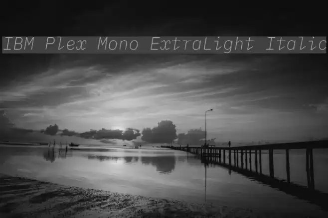 IBM Plex Mono ExtraLight Italic Font examples
