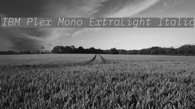 IBM Plex Mono ExtraLight Italic Font examples