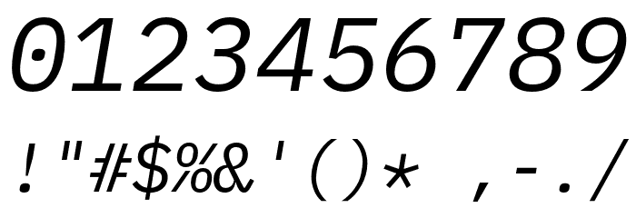 IBM Plex Mono Italic Font OTHER CHARS