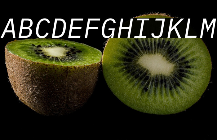 IBM Plex Mono Italic Example 1