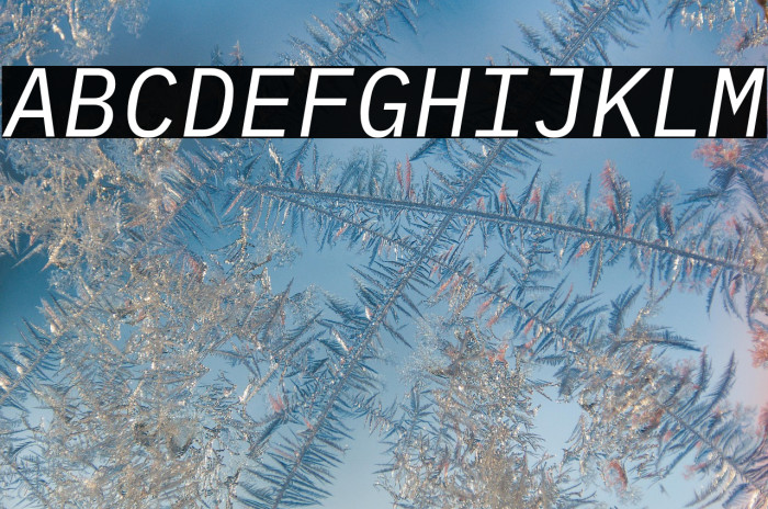 IBM Plex Mono Italic Example 2