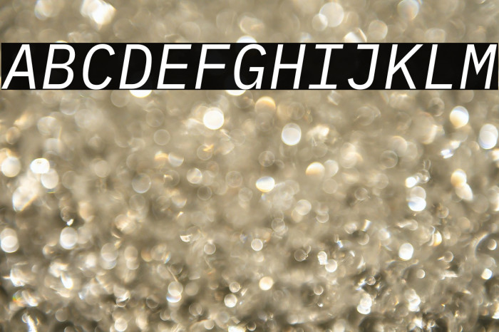 IBM Plex Mono Italic Example 3