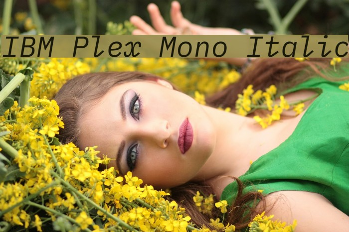IBM Plex Mono Italic Fuentes examples
