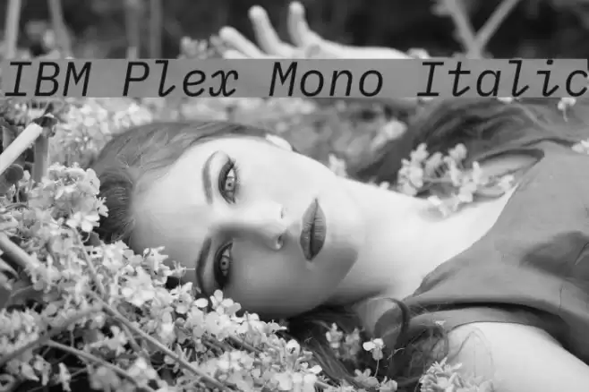 IBM Plex Mono Italic Fuentes examples