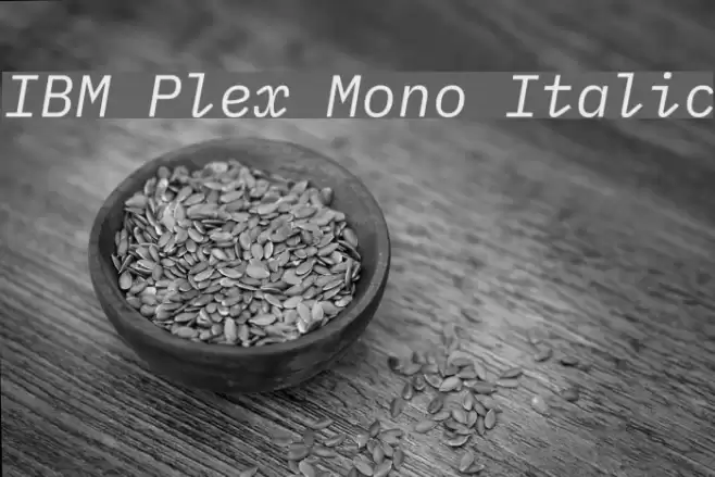 IBM Plex Mono Italic Fuentes examples