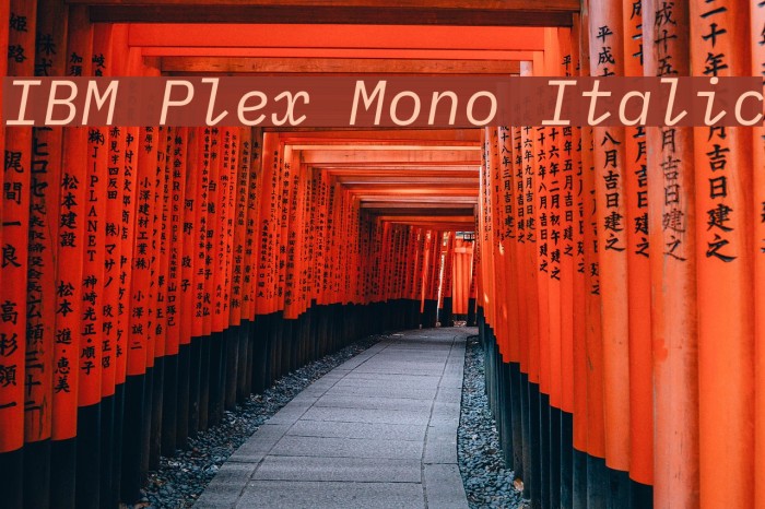 IBM Plex Mono Italic Fuentes examples