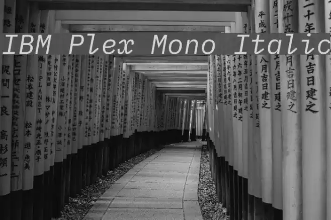 IBM Plex Mono Italic Fuentes examples