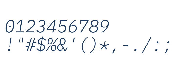 IBM Plex Mono Light Italic Other Characters