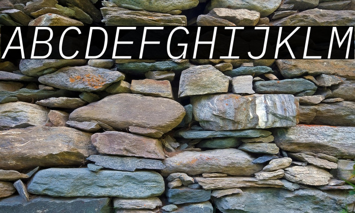 IBM Plex Mono Light Italic Example 1