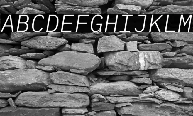 IBM Plex Mono Light Italic Font examples