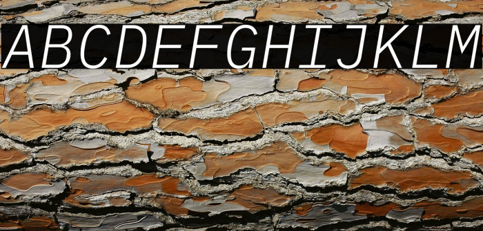 IBM Plex Mono Light Italic Example 2