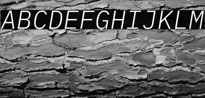 IBM Plex Mono Light Italic Font examples