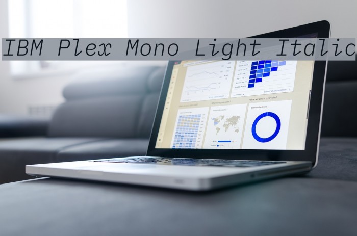 IBM Plex Mono Light Italic Font examples