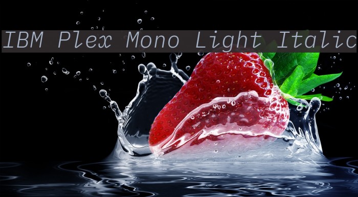 IBM Plex Mono Light Italic Font examples