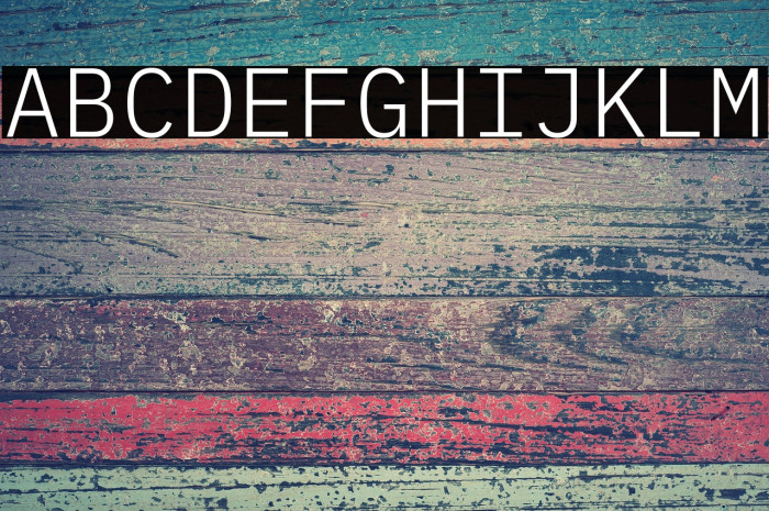 IBM Plex Mono Light Example 1