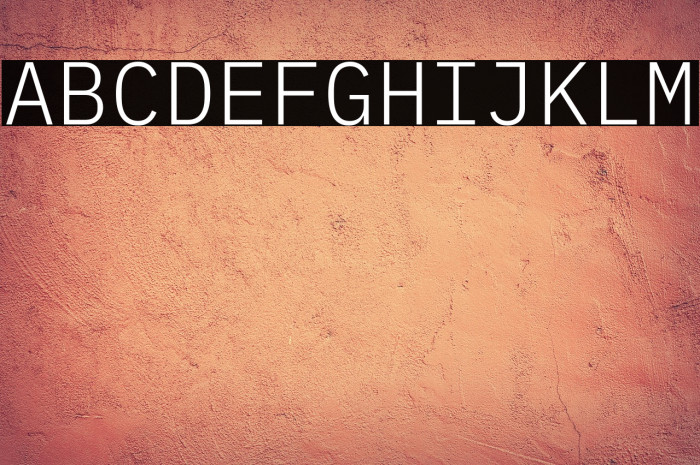 IBM Plex Mono Light Example 2