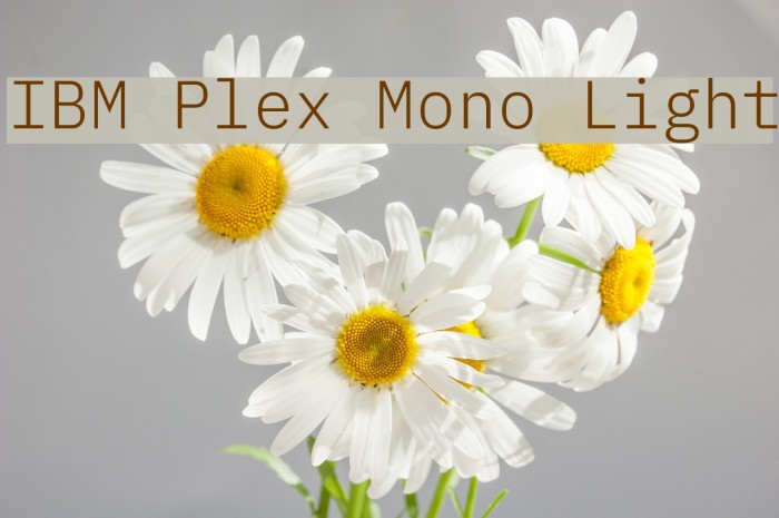 IBM Plex Mono Light Schriftart examples