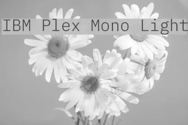 IBM Plex Mono Light Schriftart examples