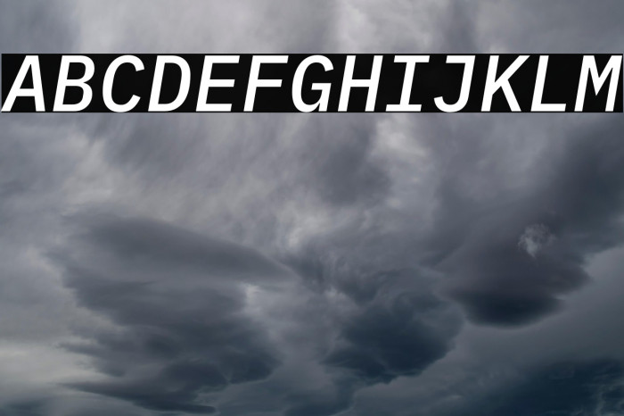 IBM Plex Mono Medium Italic Example 2