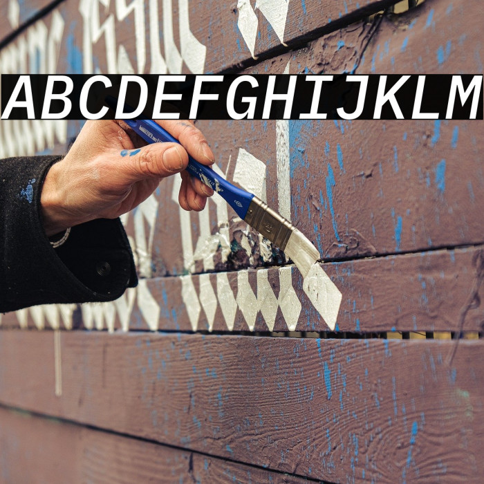 IBM Plex Mono Medium Italic Example 3