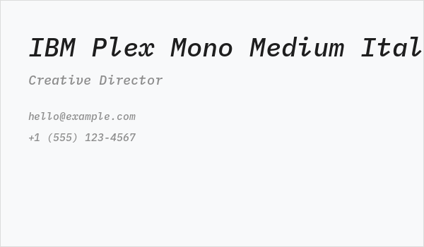 IBM Plex Mono Medium Italic Business Card