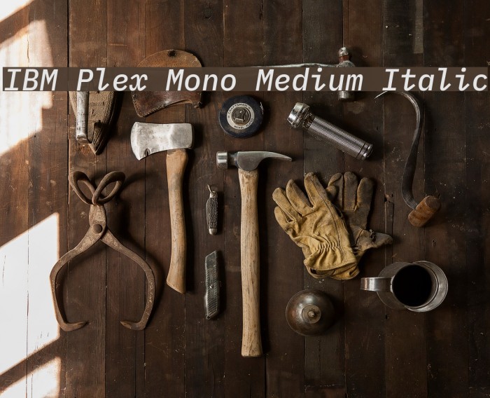IBM Plex Mono Medium Italic Font examples