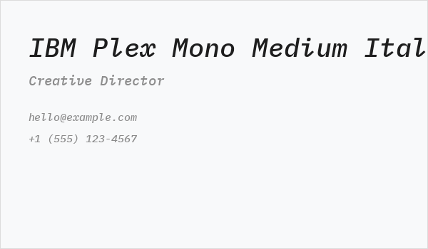 IBM Plex Mono Medium Italic Business Card